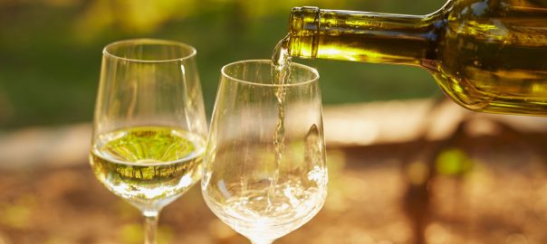 Pouring white wine into glasses in the vineyard, toned