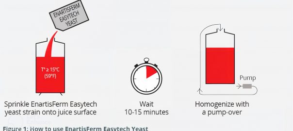 Проспект Enartis Easytech - підкормки та дріжджі для прямого введення_LE_upscale_balanced_x4